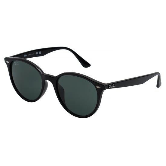 Panthos RB4305F Zonnebril voor Mannen - Image 5