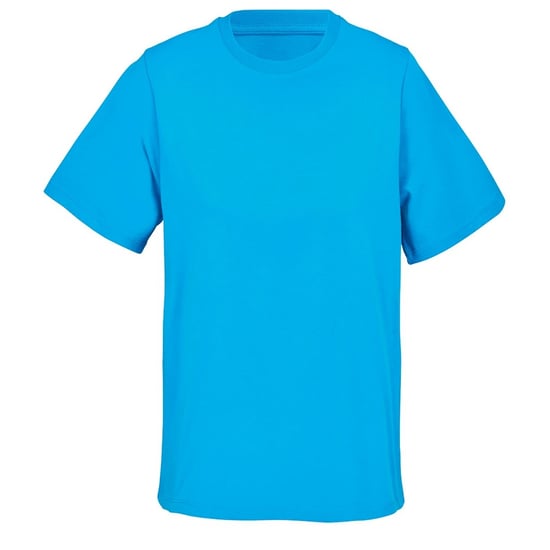 SOLS Dames/Dames Legend T-shirt (Aqua) - Image 1
