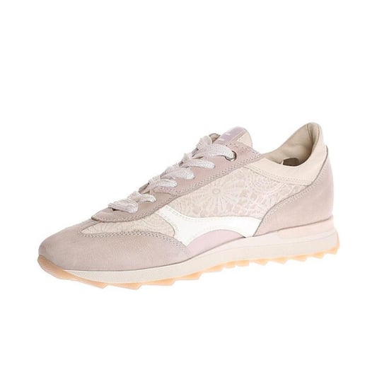 DL Sport 6959 vers 01 - Image 3