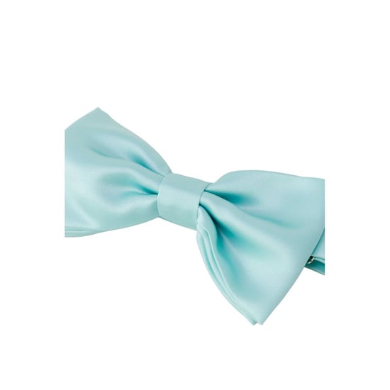 Punto Sella Cravatte Turquoise Zijde Vlinderdas - Image 3