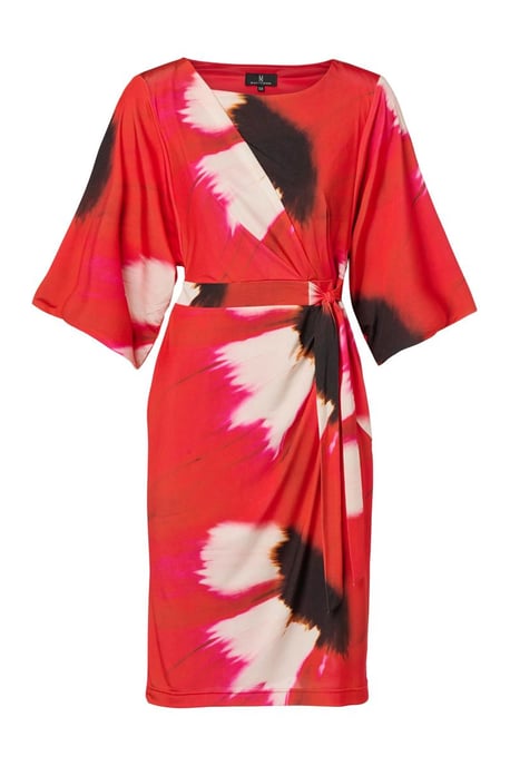 Milan Print Jurk Rood / Multi - Image 2
