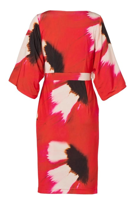 Milan Print Jurk Rood / Multi - Image 4