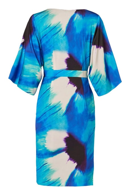 Milan Print Jurk Blauw / Multi - Image 4