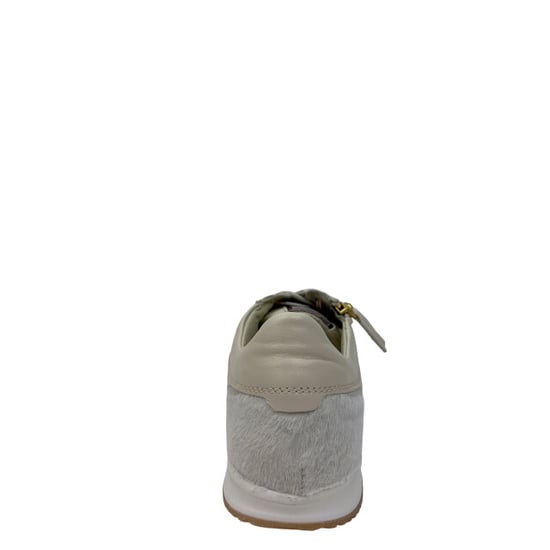 DL Sport 6953 - Image 2