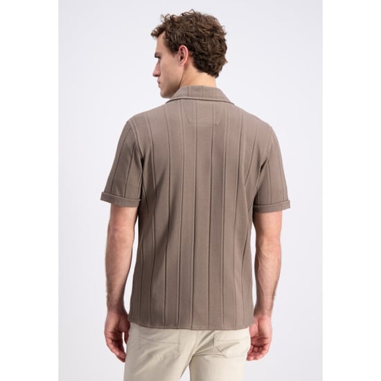Gabbiano 3365302 dalven - - Image 3