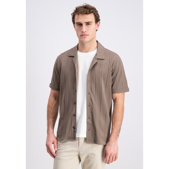 Gabbiano 3365302 dalven - - Image 5