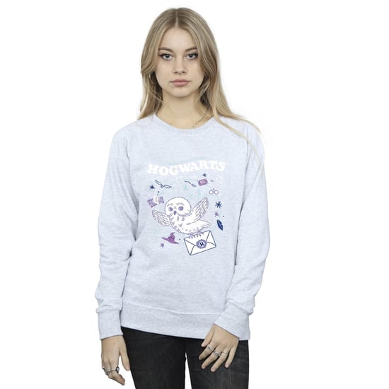 Harry Potter Dames/Dames Uil Brief Van Zweinstein Sweatshirt (Sportgrijs) - Image 2