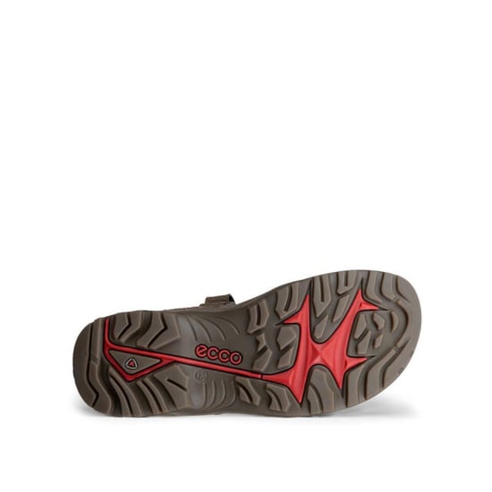 ECCO 069564 - Image 4