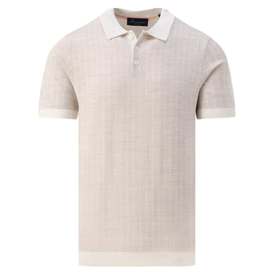 State of Art Polo - Image 1