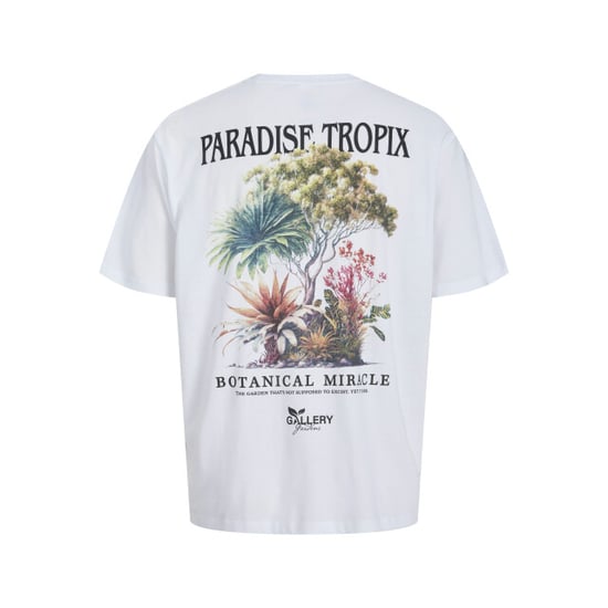 Jack & Jones Jorbotaniq tee ss crew neck tg ln - Image 1