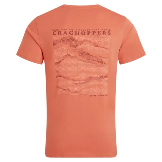 Craghoppers Mens Lucent II Mountain Back Print Short-Sleeved T-Shirt (Sahara) - Image 2