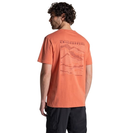 Craghoppers Mens Lucent II Mountain Back Print Short-Sleeved T-Shirt (Sahara) - Image 3