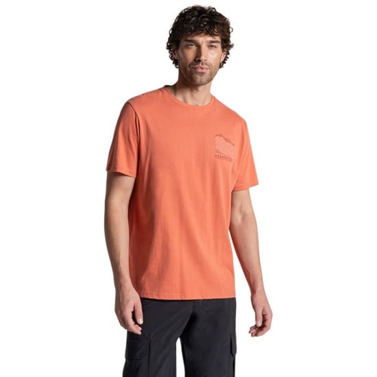 Craghoppers Mens Lucent II Mountain Back Print Short-Sleeved T-Shirt (Sahara) - Image 4