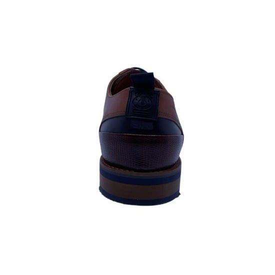 Van Lier 2518642 - Image 2