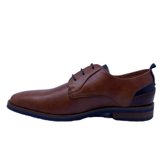 Van Lier 2518642 - Image 3