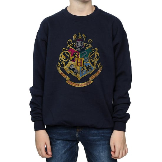 Harry Potter Sweatshirt i bomull med Hogwarts-hus för pojkar (Marinblått) - Image 1