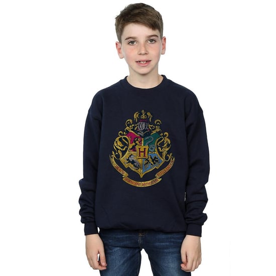 Harry Potter Sweatshirt i bomull med Hogwarts-hus för pojkar (Marinblått) - Image 2