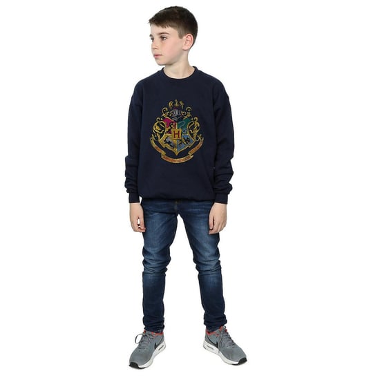 Harry Potter Sweatshirt i bomull med Hogwarts-hus för pojkar (Marinblått) - Image 3