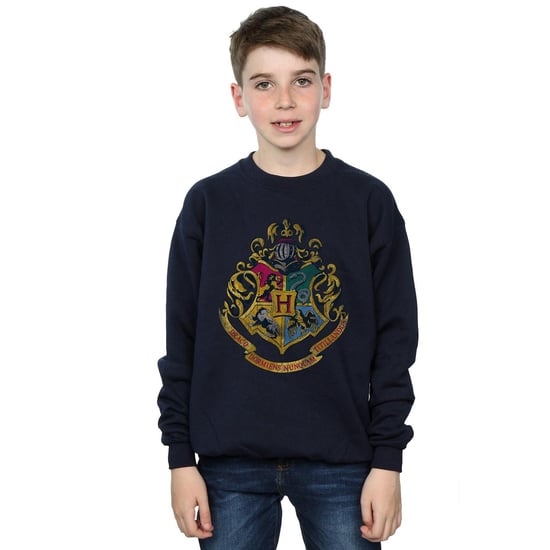 Harry Potter Sweatshirt i bomull med Hogwarts-hus för pojkar (Marinblått) - Image 4