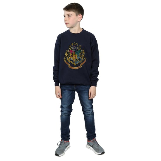Harry Potter Sweatshirt i bomull med Hogwarts-hus för pojkar (Marinblått) - Image 6