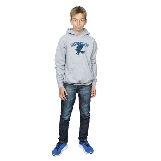 Harry Potter Jongens Ravenclaw Katoenen Hoodie (Sportgrijs) - Image 4