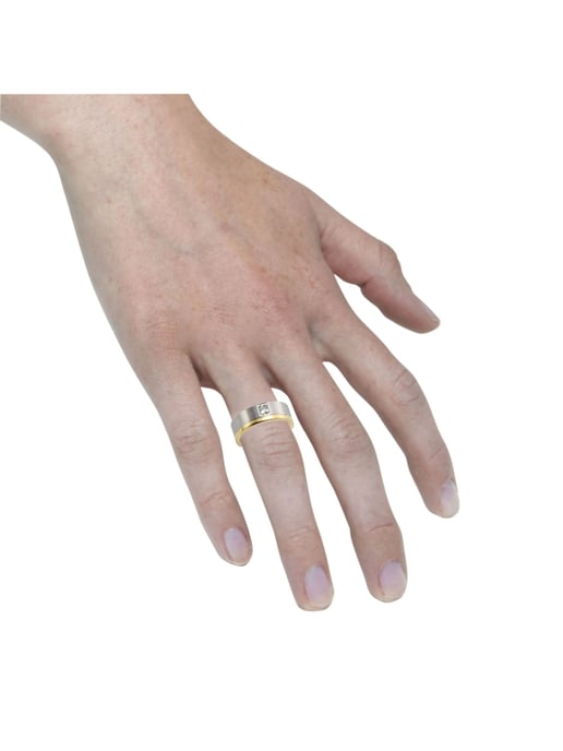 Zeeme Stainless Steel Ring Stainless steel two-tone shiny/matt with white zirconia - Image 4