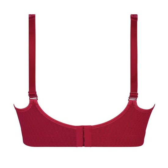 Anita Bustier - Image 2