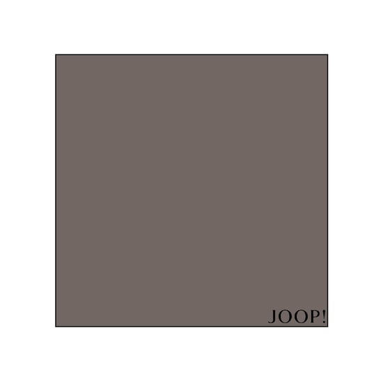 Joop Hoeslakens - Image 3