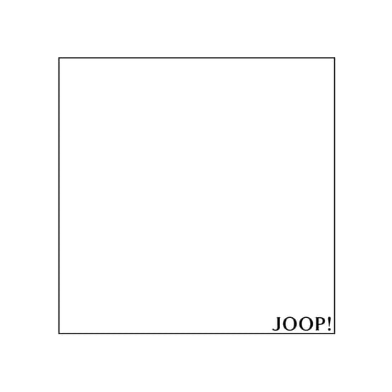 Joop Hoeslakens - Image 3
