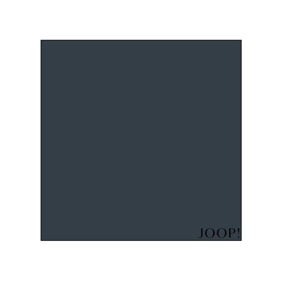 Joop Hoeslakens - Image 3