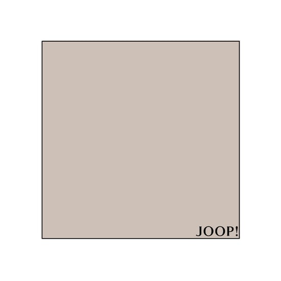 Joop Hoeslakens - Image 3