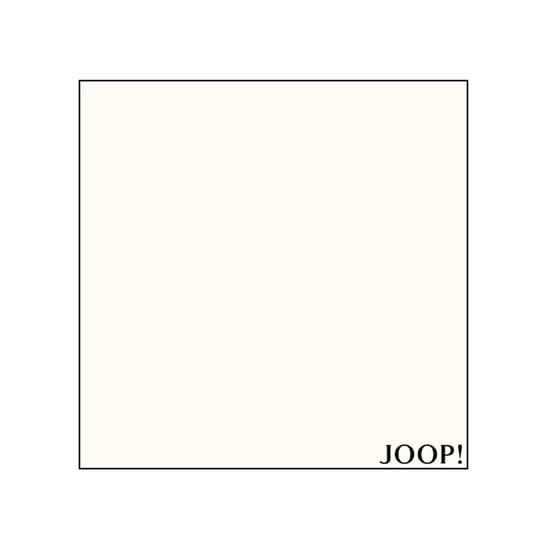 Joop Hoeslakens - Image 3