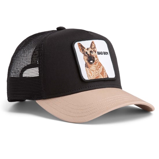 Goorin Bros. Pet - Image 3