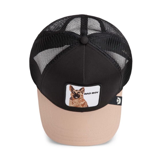 Goorin Bros. Pet - Image 5