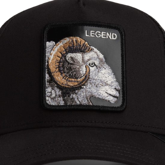 Goorin Bros. Pet - Image 3