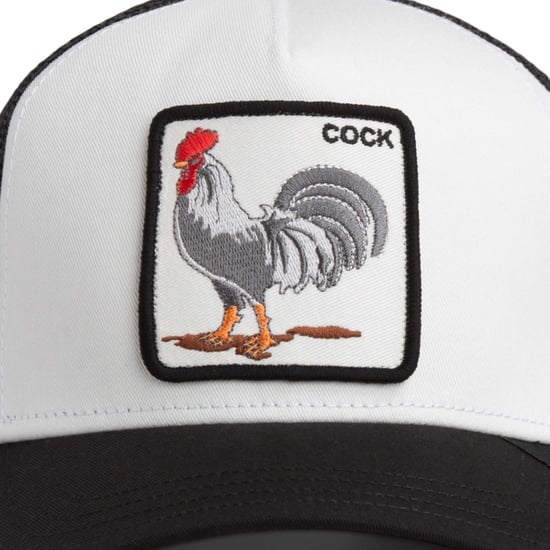 Goorin Bros. Pet - Image 3