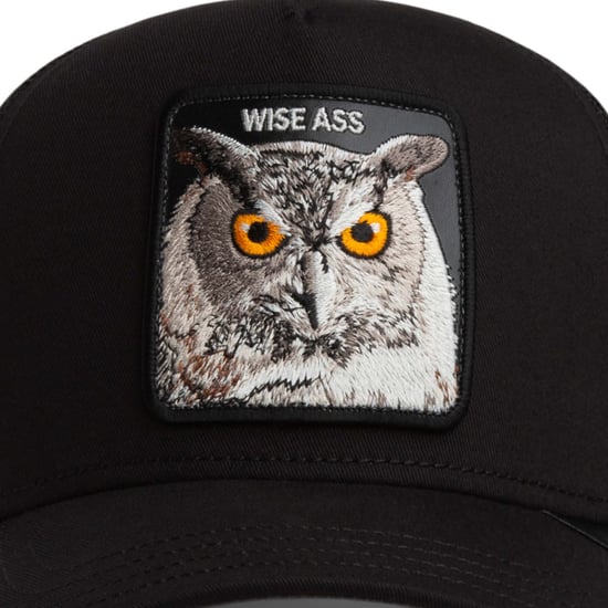 Goorin Bros. Pet - Image 3