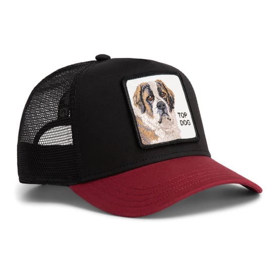 Goorin Bros. Pet - Image 3