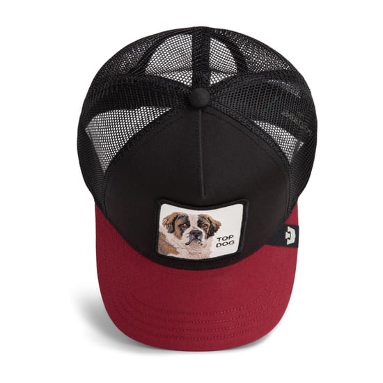 Goorin Bros. Pet - Image 5