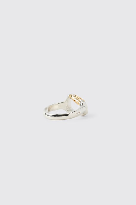 Carabiner Clasp Ring - Image 3