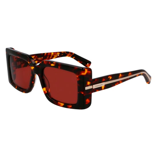 Ferragamo Bruine Acetaat Zonnebril - Image 1