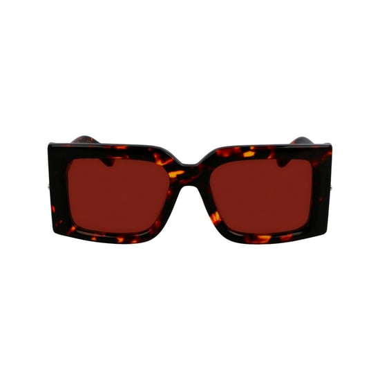 Ferragamo Bruine Acetaat Zonnebril - Image 2