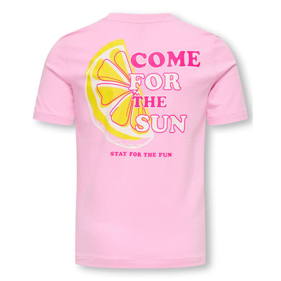 Only T-shirt 15371458 kogbolet - Image 2