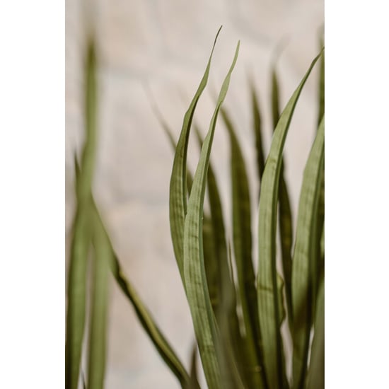 Indore Home Kentia palm kunstplant van 280 cm voor een elegante en ruimtelijke uitstraling - Image 2