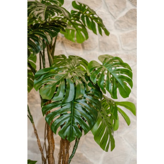 Indore Home Monstera kunstplant van 240 cm als indrukwekkende blikvanger in grote interieurs - Image 3