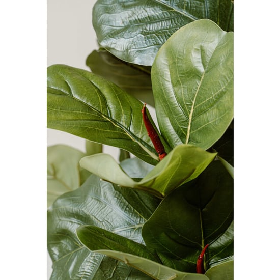 Indore Home Indore silva kunstplant vijg 90cm - Image 3