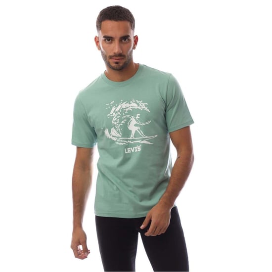 Men's Levis Graphic Crew Neck Short Sleeve Boyfriend T-Shirt in Sl Srfr Fldspr - Image 1