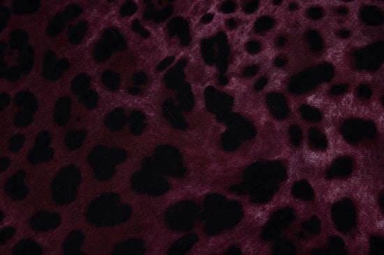 Dolce & Gabbana, leopard printed scarf in purple - Image 4