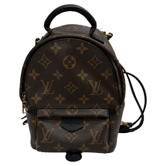 Louis Vuitton Monogram Palm Springs Mini Backpack Bag in Brown Canvas - Image 1