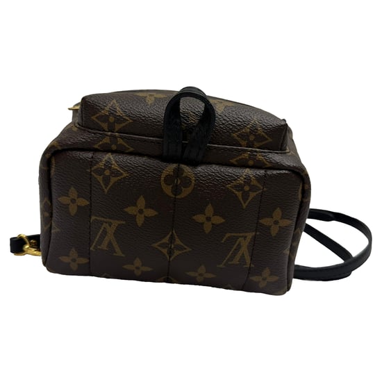 Louis Vuitton Monogram Palm Springs Mini Backpack Bag in Brown Canvas - Image 3